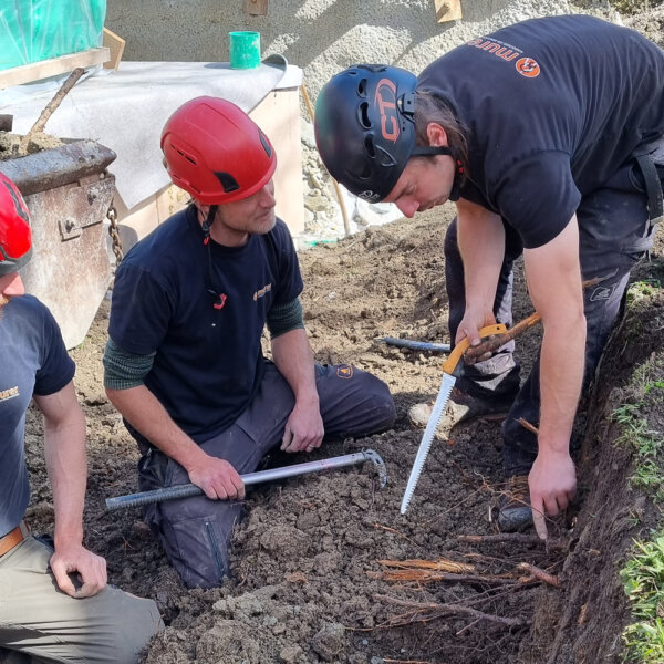 Murer Baumpflege Bereich Ausbildung 03