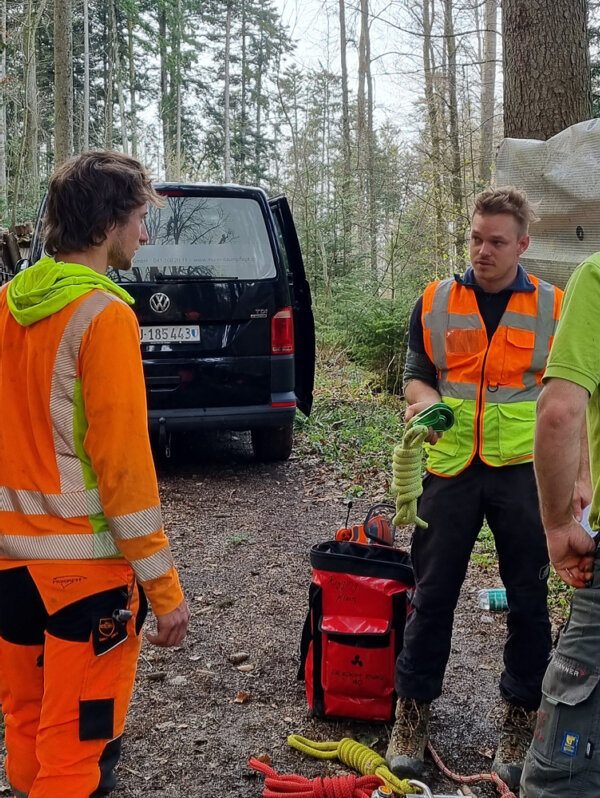 Murer Baumpflege Bereich Ausbildung 02