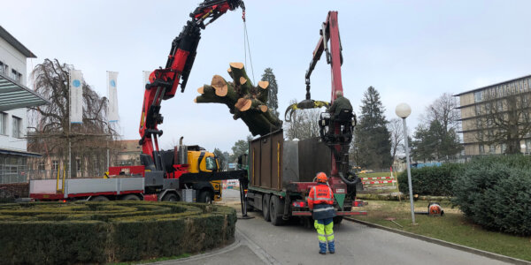 Murer Baumpflege Banner Unternehmen 01